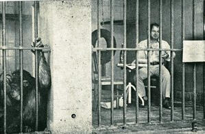 Fósforo #59 "Labirintodonte" Alberto Pimenta Sábado, 17 de Junho de 2017 Filó (Praça da Alegria, nº91, Porto)